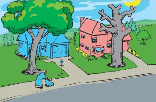 Arborist pruning a tree crown